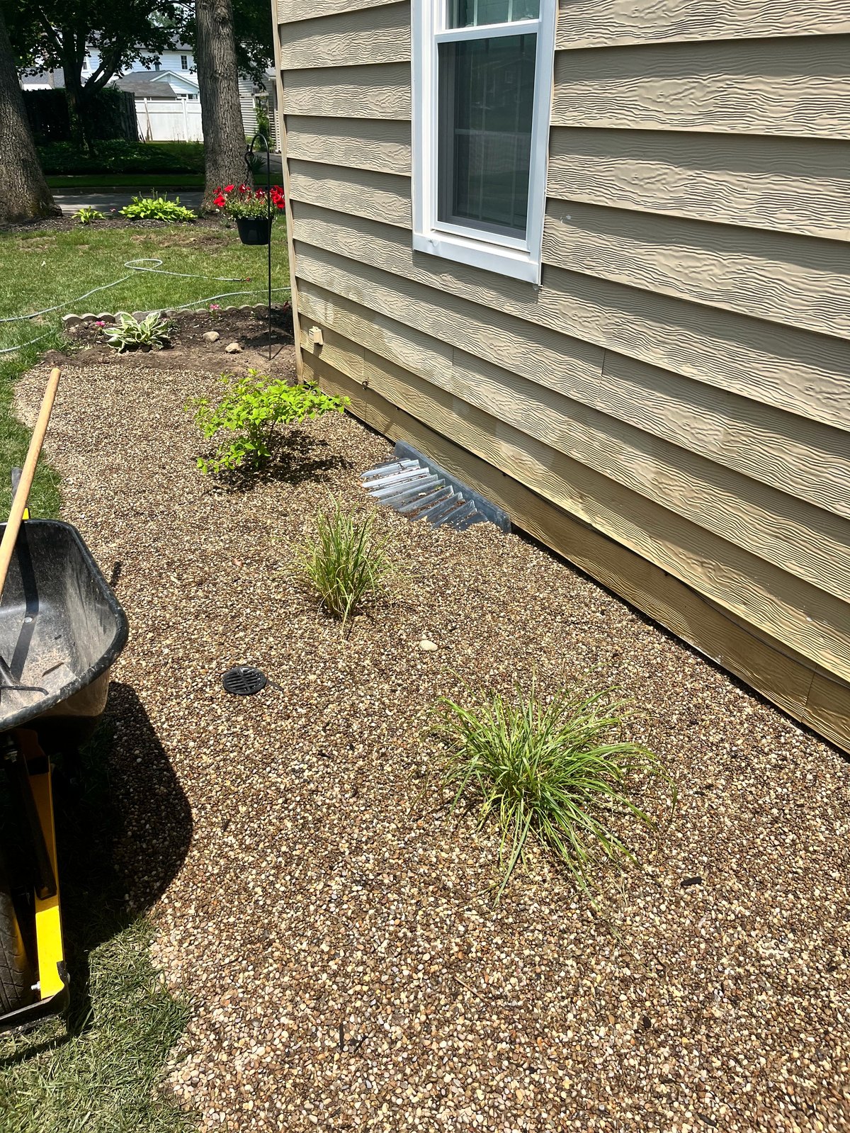 Side yard landscaping with gravel, young shrubs, and decorative edging along house siding and window