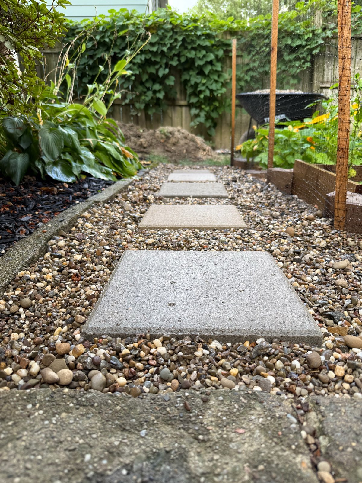 Stepping stone pathway through a garden with gravel and climbing ivy walls, leading toward a wooden structure